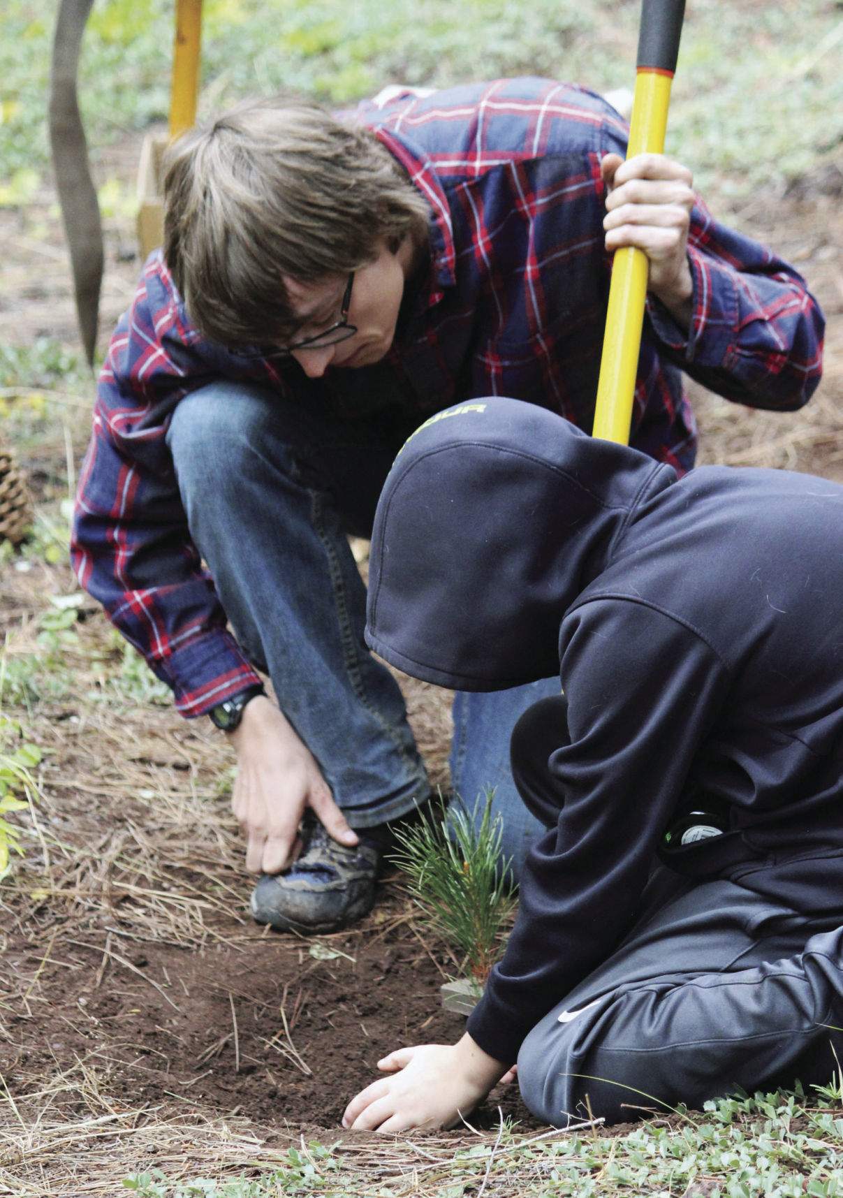 han-20190922-forestry 3.jpg